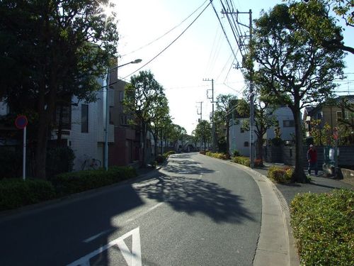 Dscf4956