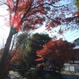Dscf4975