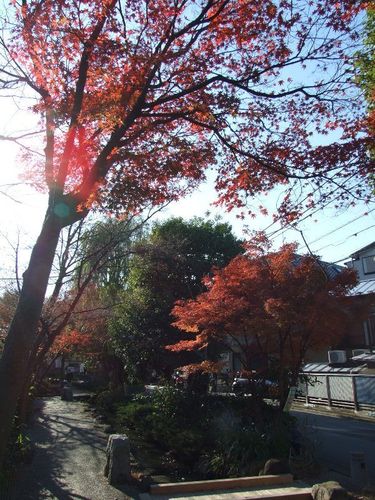 Dscf4975