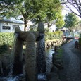 Dscf4985