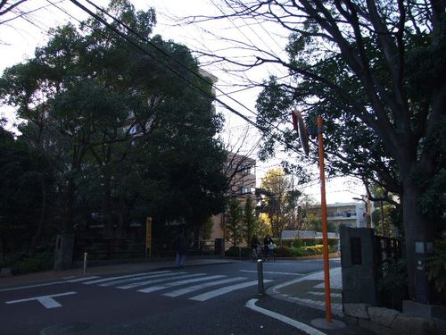 Dscf4995