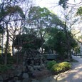 Dscf5000