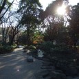 Dscf5001