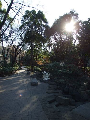 Dscf5001