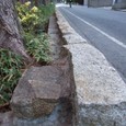 Dscf5002