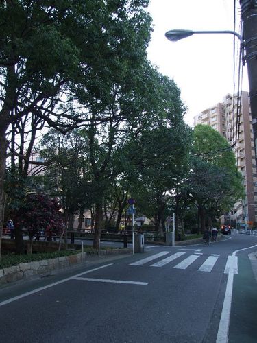 Dscf5004