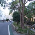 Dscf5007