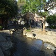 Dscf5008