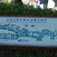 Dscf5010