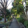 Dscf5012