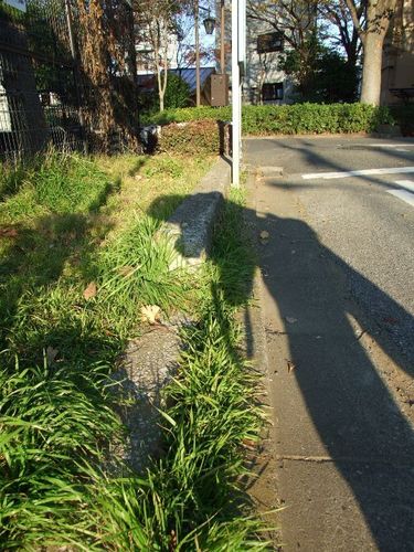 Dscf5016