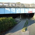 Dscf5038
