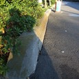 Dscf5039