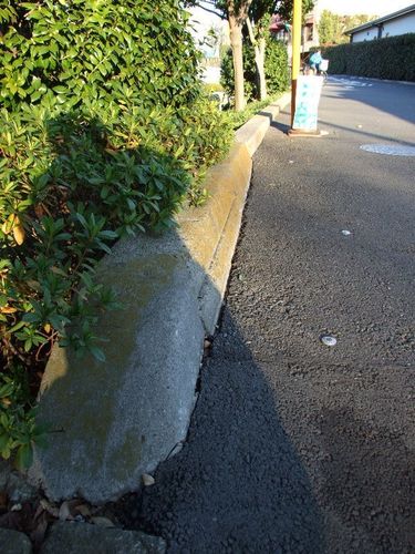 Dscf5039