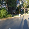 Dscf5040