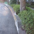 Dscf5041