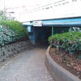 Dscf5044