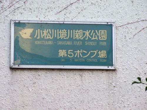 Dscf5047