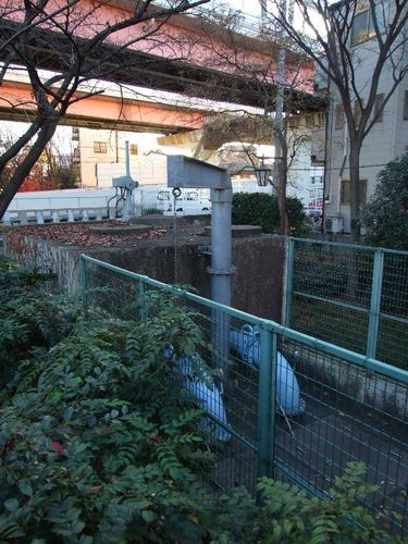 Dscf5050