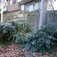 Dscf5058_2