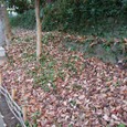 Dscf5059_2