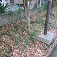 Dscf5061