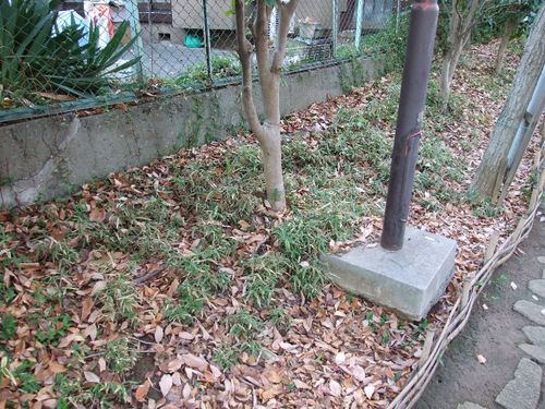 Dscf5061