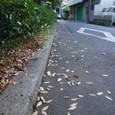 Dscf5068