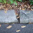 Dscf5070