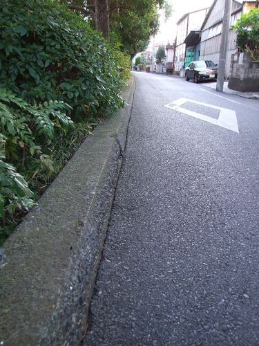 Dscf5071
