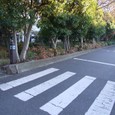 Dscf5073