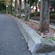 Dscf5078