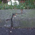 Dscf5080
