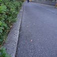 Dscf5083
