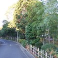 Dscf5086