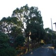 Dscf5087