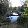 Dscf5091